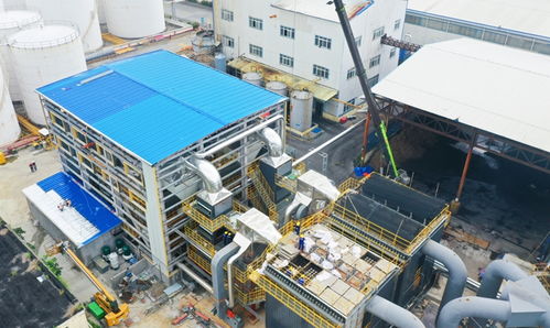 漳州開(kāi)發(fā)區(qū) 中糧油脂福建工廠積極探索綠色轉(zhuǎn)型與智能化生產(chǎn)之路