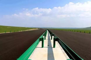 倍受關注 蒙古國總理到中鐵四局蒙古國新國際機場高速公路項目檢查調研