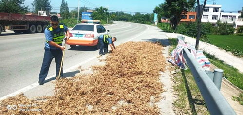 維護(hù)公路運(yùn)行安全 天門開展路域環(huán)境綜合整治行動