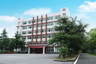 永州市海嘉中等職業(yè)技術(shù)學(xué)校視角 中國職場中具有競爭力的小語種與公路與路面工程領(lǐng)域